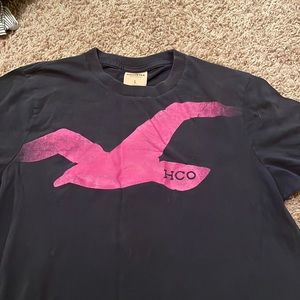 large hollister tee